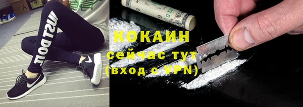 сатива Балахна