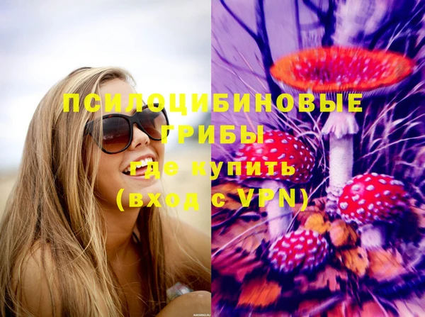 сатива Балахна