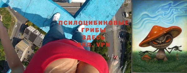 apvp Аркадак